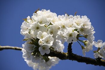 Météo Tarbes. ciel perturbé mardi, grand soleil mercredi, dégradation ensuite
