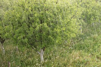 Orages. Tarbes et les Hautes Pyrénées en alerte météo