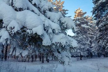 Importantes chutes de neige sur les Pyrénées, quelques flocons à Tarbes