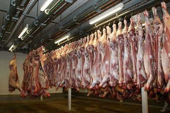 Abattoir de Tarbes rapport au vitriol de la Cour des comptes