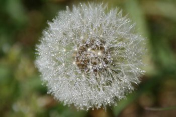 Pollution aux particules fines ce jeudi à Tarbes