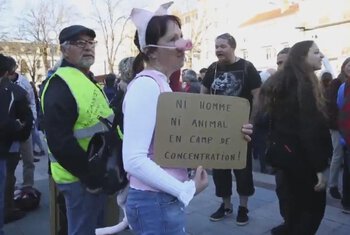 Des centaines de personnes manifestent à Tarbes contre le projet de porcherie à Ossun