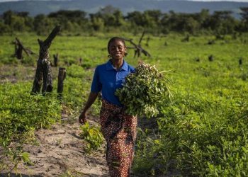 FAO subrayó que la transformación requiere inversiones estimadas en US$1.1 billones anuales hasta 2030.