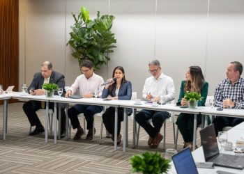 El encuentro fue encabezado por la viceministra de Desarrollo Industrial del MICM, Gianna Franjul y el vicepresidente ejecutivo de la AIRD, Mario Pujols.