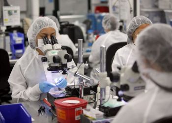 Las zonas francas dominicanas integran industrias tradicionales con actividades de mayor contenido tecnológico y valor agregado.