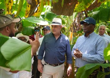 La institución indicó que fueron entregadas más de 100,000 plantas de coco y guanábana.