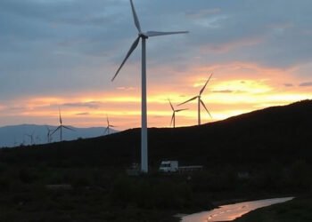 Pride in the Energy Sector: Why Inclusion Matters in the Energy Transition