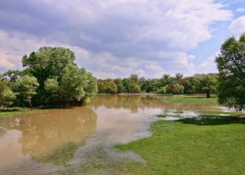 Fortes pluies : Arros, Echez et Adour maintenus en vigilance crues