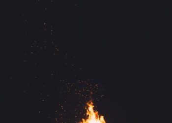 Feux de forêt, la police de l'environnement veille