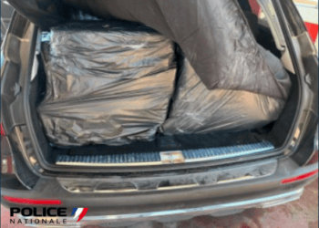 387 kilos de cocaïne saisies, un record