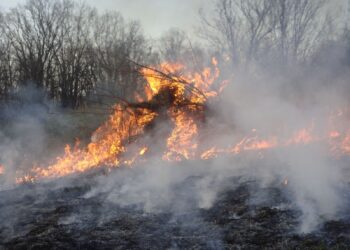 Les feux de forêt ravagent la France et l'Espagne