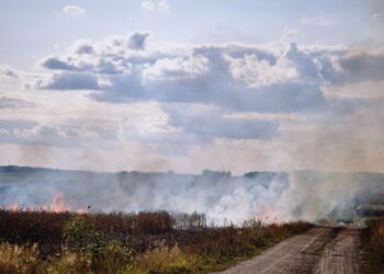 Incendie, piégés par les flammes dans leur camion, ces pompiers racontent