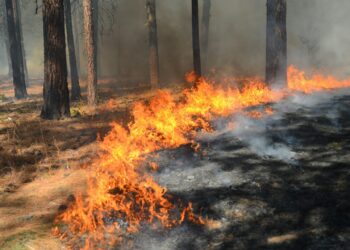 Nouvel incendie ce mercredi après midi près d'Arreau