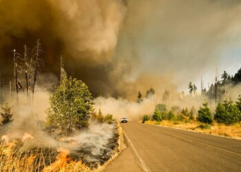 La Haute Garonne en alerte rouge pour feux de forêts, les Hautes Pyrénées en alerte orange