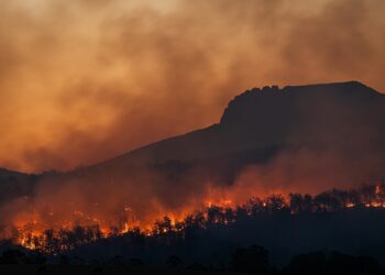 Incendies, Laurent Nunez dénonce les polémiques, plusieurs syndicats lui répondent