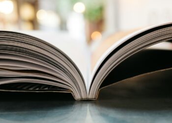 De nombreux livres politiques annoncés pour cette rentrée littéraire