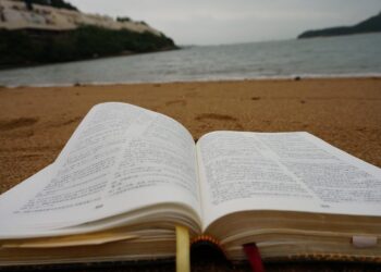 3 livres à lire pendant les vacances