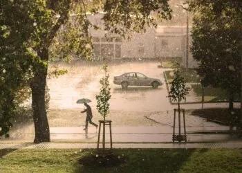 Chutes d'arbres, grêle, les orages ont été violents vendredi soir en Bigorre