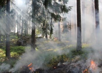 L'incendie dans les Corbières est "fixé"