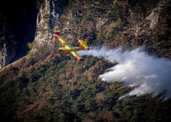 Nouvel incendie dans l'Aude : 4 canadair et 240 pompiers mobilisés