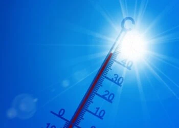 Manifestation contre la crise climatique