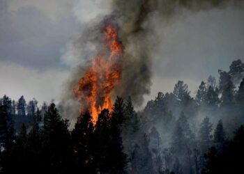 Nouvel incendie dans les Landes, odeurs de fumées possibles à Tarbes