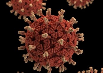 Le virus Ebola se rapproche de la Centrafrique