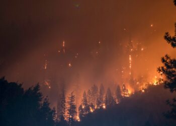 Incendies en Gironde, Lecornu répond aux manifestants "rien à cacher"