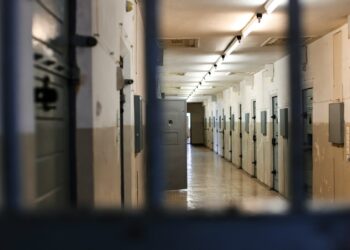 2 chefs de la DZ Mafia en prison en Algérie