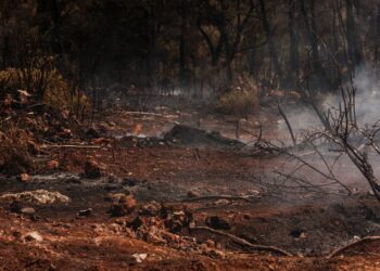 Les Hautes Pyrénées en alerte feux de forêt jeudi et vendredi