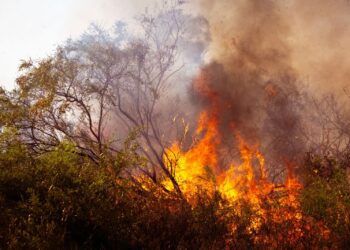 Les Hautes Pyrénées en alerte feux de forêts