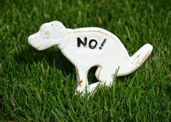 Il tire sur le propriétaire d'un chien qui faisait ses besoins