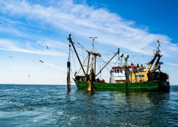 Un dépôt pétrolier bloqué par des pêcheurs
