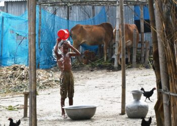En RD du Congo, le choléra progresse aux côté d' Ebola