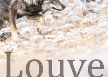 Le film "Louve, une vie dans les Alpes" en avant-première dans les Hautes-Pyrénées