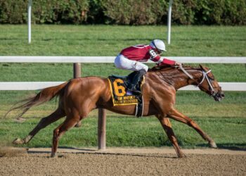 L'hippodrome de Tarbes Laloubère accueillera des courses en 2027