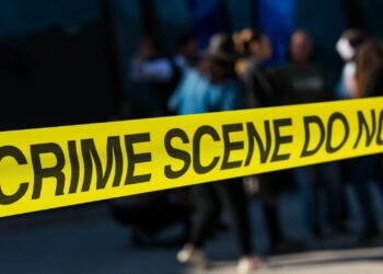 Crime organisé : des réseaux plus lucratifs parfois intégrés à l'économie légale