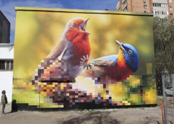Birds By LexusOne