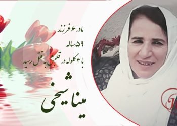 مینا شیخی در اول دی ماه سال ۱۳۳۹ در سقز متولد شد. او ۳۰سال پیش همسرش را از دست داد و شش فرزندش را بدون پدر، بزرگ کرد