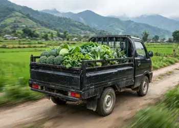 fresh vegetables onto a truck without refrigeration on a rural Nepal road