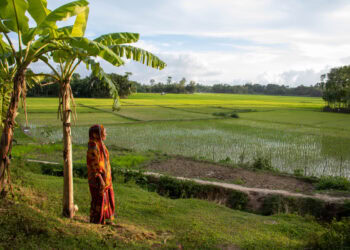 How Mohiyani Land Protects Tenant Cultivator Rights in Nepal?