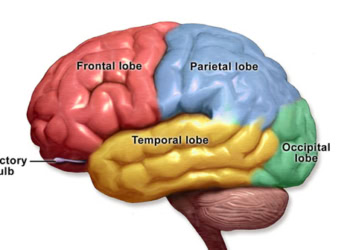 Neuroscientists: Brain activity may mark the beginning of memories