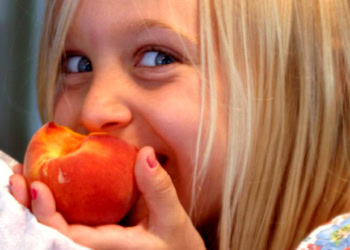 Do gut bacteria rule our minds? Microbes evolved to sway food choices