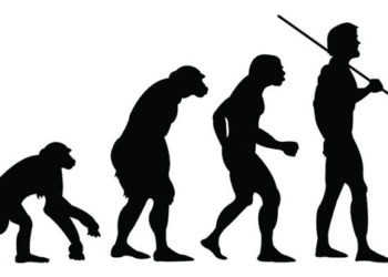 Scientists examine the evolution of competitiveness