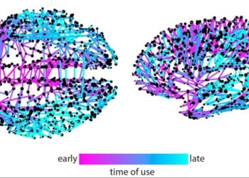 Network model for tracking Twitter memes sheds light on information spreading in the brain