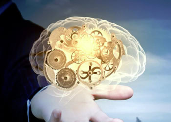 Scientists examine how competition influences the evolution of decision-making