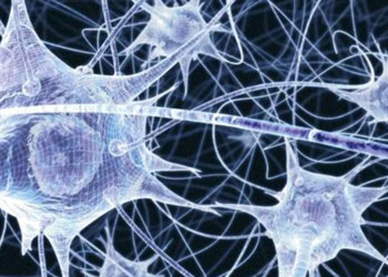 Clique topology: New mathematical method reveals structure of neural activity in the brain