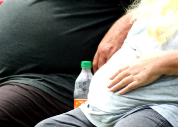 Being overweight linked to memory-impairing dysfunction in the hippocampus