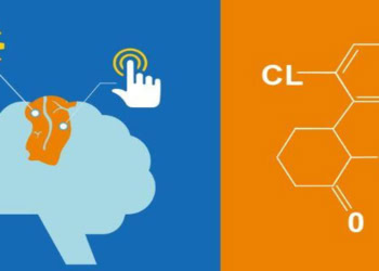 A ‘communication breakdown’ in the brain during ketamine anesthesia