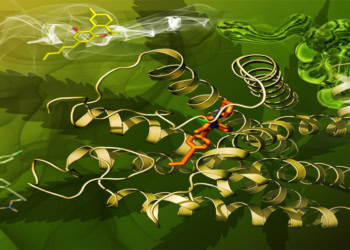 International team unveils first atomic-level image of the human ‘marijuana receptor’